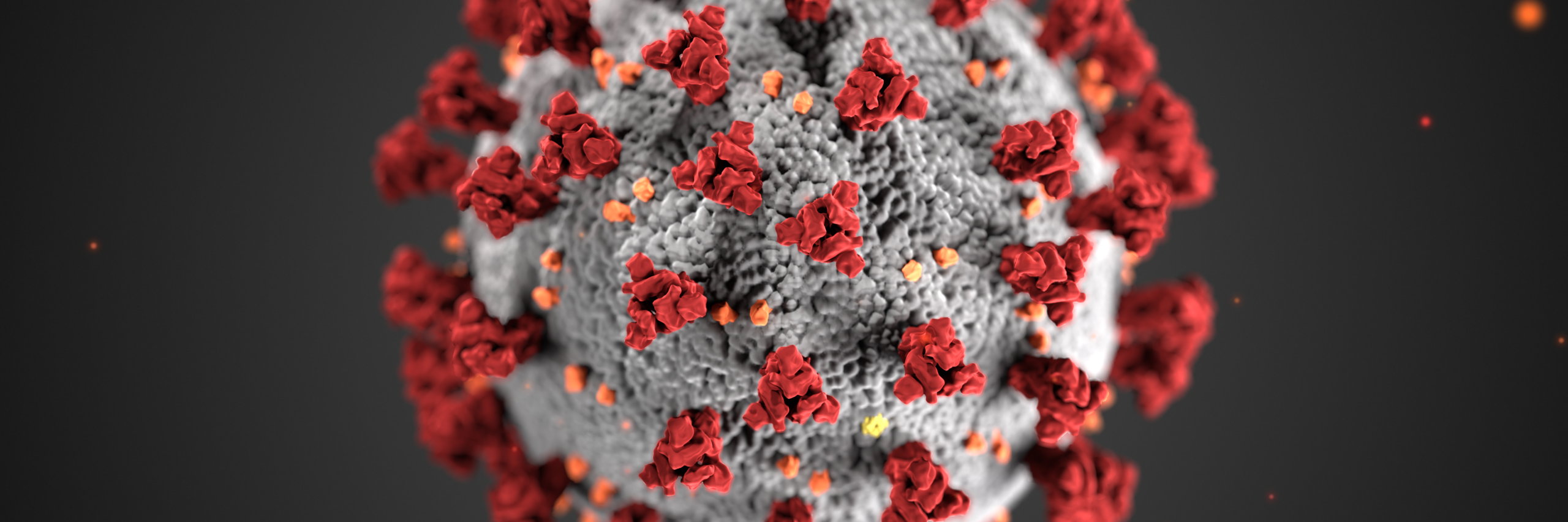 A picture of the covid-19 virus